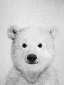Black and white photo of a baby polar bear curiously looking at the camera.