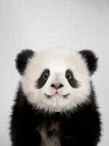 Süßer Baby-Panda sitzt auf einer Wiese, umgeben von sanften Grüntönen.