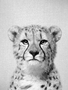 Black and white photograph of a cheetah sitting calmly in a serene moment.