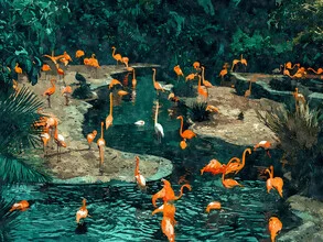 Wall art featuring a flamingo standing in calm waters, surrounded by tropical foliage.