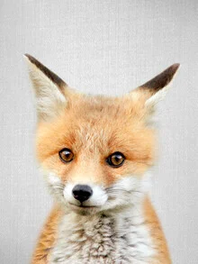 Photo art by Gal Pittel: cute baby fox in a natural setting