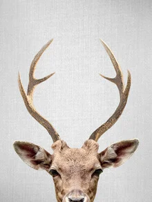Photo art by Gal Pittel: A shy deer in a winter forest.
