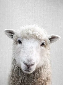 Wall art of a sheep peeking at the camera, soft colors and a calm mood.