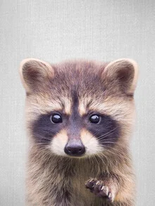 Fotokunst von Gal Pittel: ein verspielter Waschbär in natürlicher Umgebung