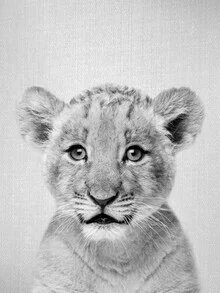 Photo art by Gal Pittel: black and white image of an adorable baby lion