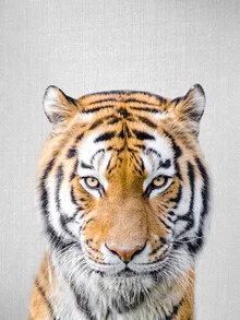 Fotokunst von Gal Pittel: Porträt eines Tigers im Dschungel