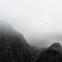 Photo art by Fabian Wanisch: bird in fog against majestic mountains