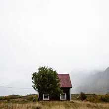 House in Norway surrounded by fog and trees, calm ambiance