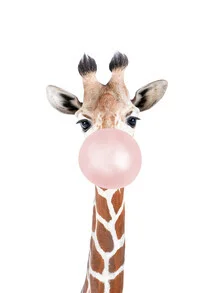Photo art by Kathrin Pienaar: Giraffe with bubble gum against a colorful background.