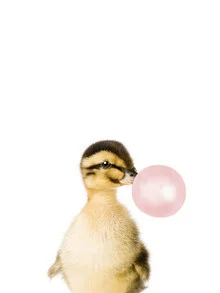 Photo art by Kathrin Pienaar: cute duck with bubble gum style, cheerful colors.