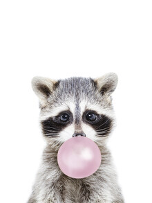 Kathrin Pienaar, Bubble Gum Racoon (United Kingdom, Europe)
