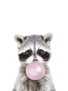 Photograph of a raccoon-like animal chewing gum, friendly and playful mood.