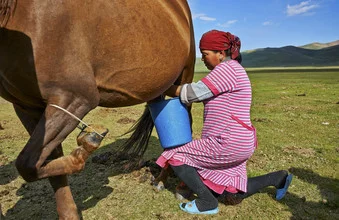 Photo art by René Ruis: a woman milking a mare in Kyrgyzstan