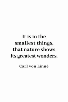 Wall art by Typo Art: minimalist quote about the beauty of nature.