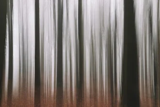 Blurred winter forest by Nadja Jacke with soft, misty colors.