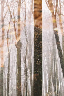 Double exposure by Nadja Jacke: winter forest with gentle tree outlines