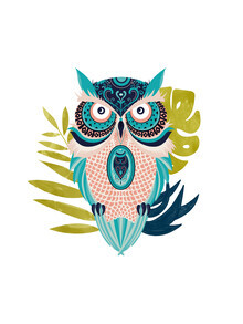 Uma Gokhale, Moon Eyed Owl (India, Asia)