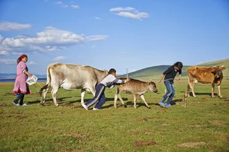 Photo art by René Ruis: Nomads with cows in the cool Kyrgyz landscape