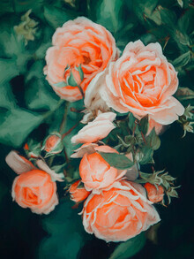 Uma Gokhale, Seasons Blossom (India, Asia)