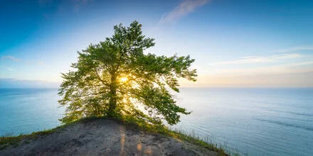Photo art by Martin Wasilewski: sunrise over the chalk coast