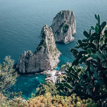 Photo art by Eva Stadler: rocks, succulents, and a beach bar in Capri