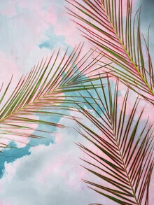 Illustration featuring palms and sky, tropical vibe, soft colors, and a relaxed mood