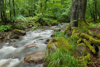 Wunderschönes Fotokunstwerk von Rainer Kohlrusch: ruhiger Fluss im Harz
