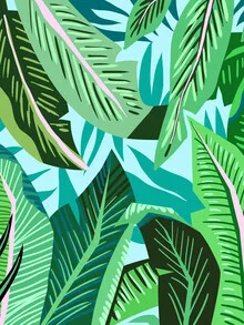 Illustration by Uma Gokhale: lush leaves in a colorful jungle setting