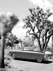 Black and white photo art by Gal Pittel: vintage car on a desert road