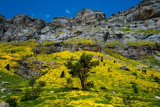 Photo by J. Daniel Hunger: tranquil landscape in Ordesa National Park