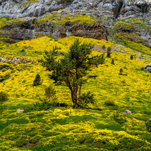 J. Daniel Hunger, Ordesa National Parc #2
