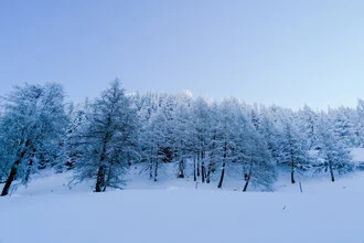 Photo art by Lotte Wildiers: gentle sunrise over the Swiss Alps