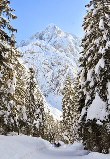 Beautiful photo art by Lotte Wildiers: snowy mountains in the Tamar Valley