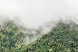 Photo art by Lotte Wildiers: misty mountains in the Azores with gentle forests