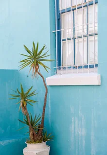 Photo art featuring a blue palm tree in front of colorful houses in Cape Town, South Africa.