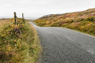 Serene landscape featuring a winding road through lush green hills.