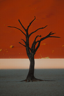 Jonas Hafner, Deadvlei
