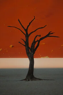 Photo art by Jonas Hafner: camel thorn tree in the Deadvlei desert, Namibia.