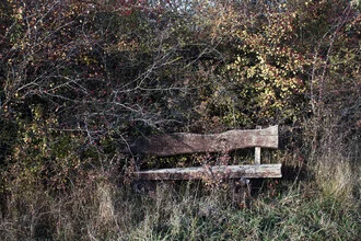 Sitzbank im Wald, umgeben von verwilderten Ästen, vermittelt eine ruhige, idyllische Stimmung.