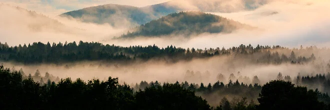 Panoramablick auf den nebligen Bayerischen Wald bei Sonnenuntergang