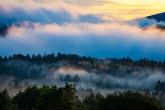 Photo art by Martin Wasilewski: serene evening in the Bavarian Forest with fog and sunset
