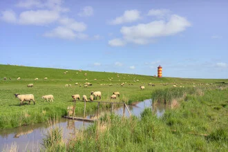 Schafherde auf einer Wiese beim Pilsumer Leuchtturm an einem Sommertag in Ostfriesland.