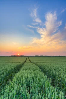 Fotokunst von Michael Valjak: Sonnenuntergang über einem goldenen Weizenfeld