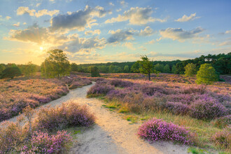 Michael Valjak, Evening in the heath