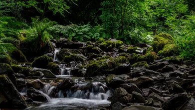Photo art by Marc Fassbender: tranquil stream with gentle waves and surrounding plants