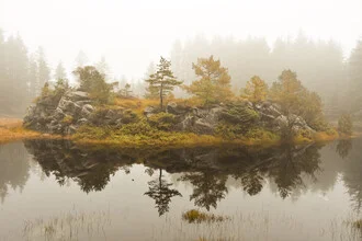 Photo art by Lotte Wildiers: misty Norwegian marshes in autumn with gentle reflections