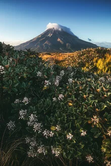 Photo art by Jean Claude Castor: Mount Taranaki in soft morning light