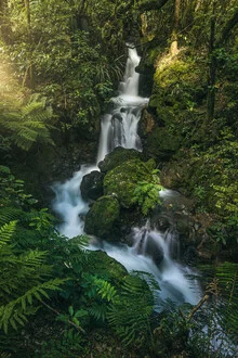 Photo art by Jean Claude Castor: waterfall in New Zealand's mountain landscape