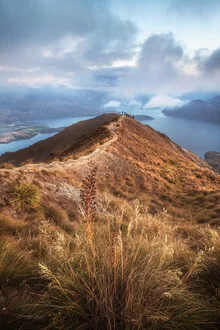 Morgenlandschaft in Neuseeland mit sanften Bergen und weichem Licht