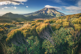 Jean Claude Castor, Neuseeland Mount Taranaki entlang des Mangorei Track